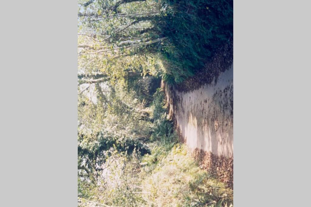 Lanivet Okewoon Farm 빌라 외부 사진
